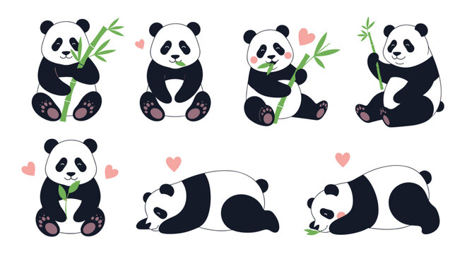 Adorable collection of cute cartoon panda bears in various poses such as eating bamboo and sleeping isolated on a white background.