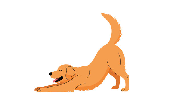 A happy and playful golden retriever dog stretching in a play bow pose in a simple and charming vector illustration on white.