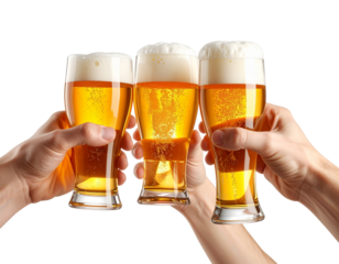 Celebratory Beer Toast with Male Hands in Side Perspective