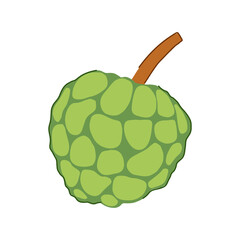 Custard apple fruit, known for its unique segmented green skin, depicted in a simple vector illustration, highlighting its exotic nature, healthy benefits, and natural sweetness as a tropical food