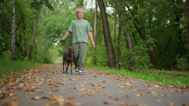 Child Exploring Outdoors, Teen Exploring Wooded Area Calmly And Appreciating Natural Surroundings, Young Child With Light Hair Taking Tranquil Walk Through Lush Outdoor Forest Environment