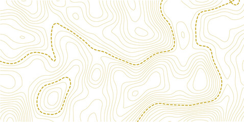 vector illustration.. Retro topographic map. Geographic contour map. Abstract outline grid.