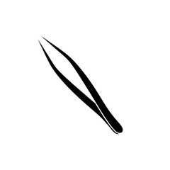 black feather isolated on white