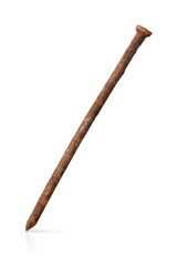 Side view of single rusty nail