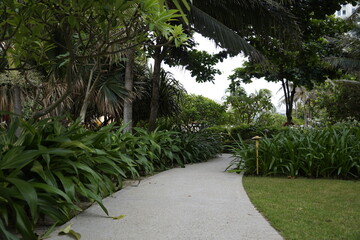 Obraz premium building, swimming pool, trees, road, sky, landscape