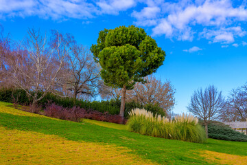 Parque Juan Carlos I de Madrid