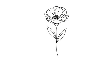 Minimalist Line Drawing of a Delicate Rose in Black and White.