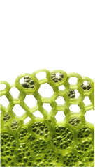 close up of a green ball