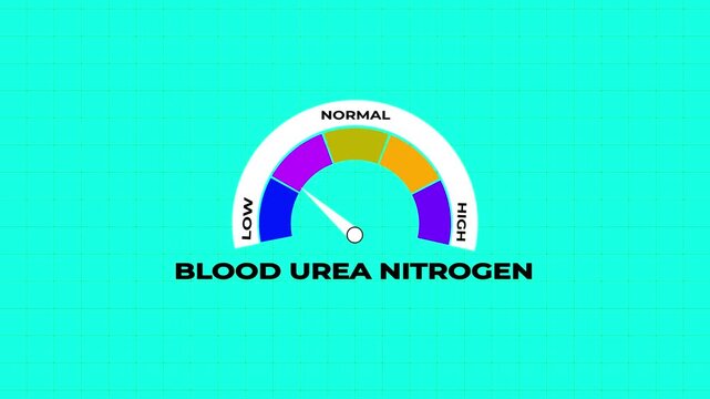 Blood Urea Nitrogen Level Gauge Displaying Normal Status on white Grid Background meter animation.