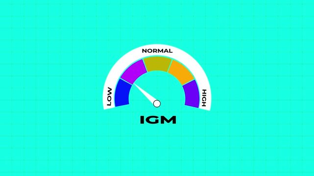 IGM level indicator gauge with low normal and high zones on a white color Grid and green color background immunoglobulin animation.