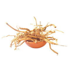 Obraz premium satavari on clay small bowl isolated on white background - 1