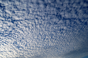 Beautiful cloudy sky with small fluffy white clouds.