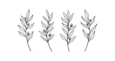 Simple botanical line drawing of four leafy branches with flowers
