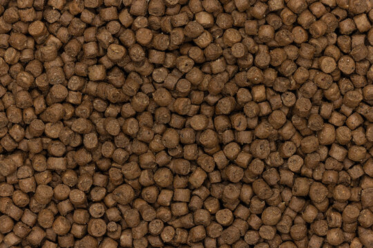 Full frame top view close up freeze dried food pellets forming a close-up background with texture and patterns, fish variant.