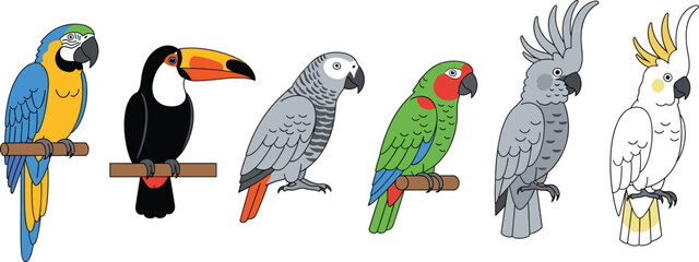 Exotic tropical bird collection including colorful macaw toucan african grey parrot and cockatoos perched on wood branches vector