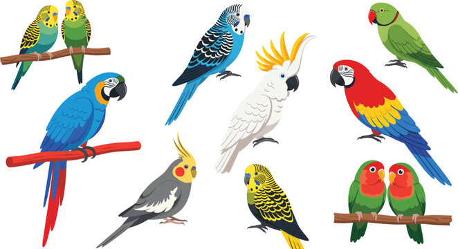 Large collection of colorful parrot species including macaw cockatiel cockatoo budgie and lovebirds perched on branches isolated on white.