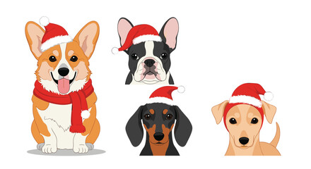Obraz premium Adorable collection of four diverse dog breeds, including a corgi, French bulldog, dachshund, and mongrel, all wearing festive Santa hats, with one dog also sporting a red scarf, for holiday cheer.