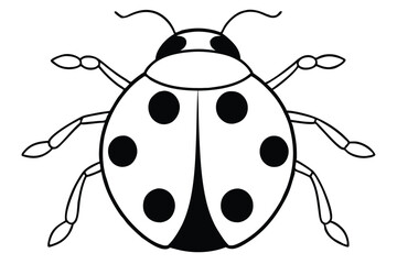 Fototapeta premium ladybug silhouette line art vector illustration with a white background