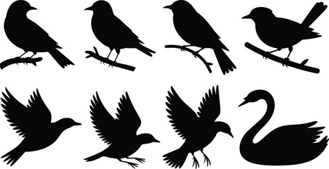 Obraz premium Set of black bird silhouettes including flying songbirds perched on branches and a swan swimming on white background.