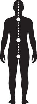 Human spine alignment silhouette. Posture correction and back health vector illustration. Chiropractic medical concept isolated on white background.