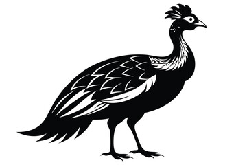 Fototapeta premium guineafowl silhouette line art vector illustration with a white background