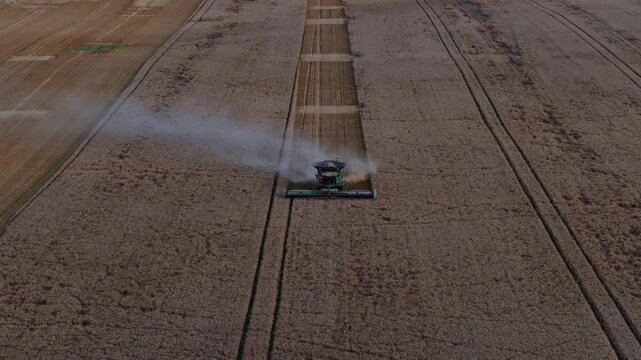 Aerial combine harvester advances along straight tramlines through wheat, emitting dust while cutting a uniform swath. Warm late afternoon light and high angle add motion.