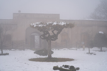 snow and fog covered grounds with shaped trees at the Pari Mahal castle fort in Srinagar Kashmir a popular tourist spot