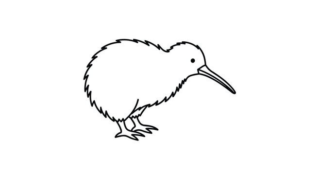 Simple line art illustration of a kiwi bird showing its characteristic long beak and fuzzy body against a plain white background.