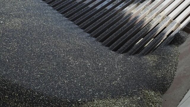Slotted metal grate next to a mound of dark granular feed with pale fibrous bits in a processing facility, close up view with angled ribs and sunlight on edges