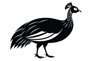 Fototapeta premium guineafowl silhouette line art vector illustration with a white background