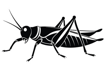 Fototapeta premium grasshopper silhouette line art vector illustration with a white background