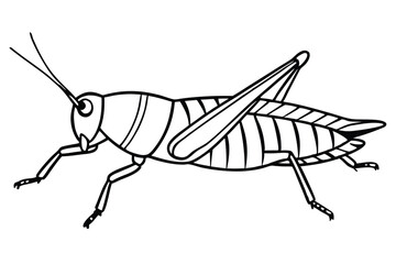 grasshopper silhouette line art vector illustration with a white background