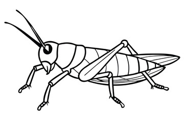 grasshopper silhouette line art vector illustration with a white background