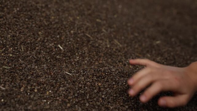 Close up forearm and hand release brown buckwheat hulls over a pile in a storage area, steady cascade with straw bits, shallow depth, warm low key lighting.