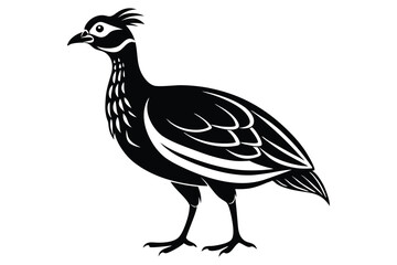 Fototapeta premium francolin silhouette line art vector illustration with a white background