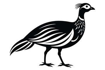 Obraz premium francolin silhouette line art vector illustration with a white background