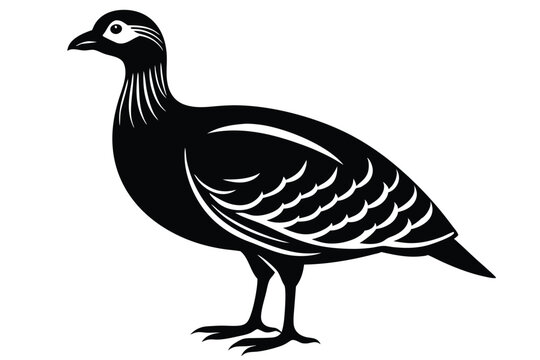 francolin silhouette line art vector illustration with a white background