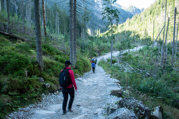 a tourist hiking up a mountain trail