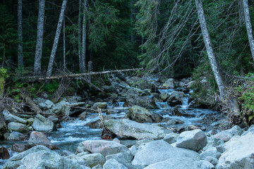 a rocky mountain stream in the Polish Tatra Mountains