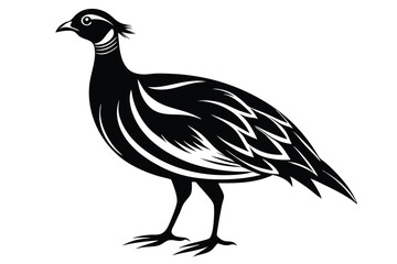Fototapeta premium francolin silhouette line art vector illustration with a white background