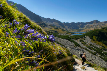 Valley of 5 Ponds in the Polish Tatra Mountains