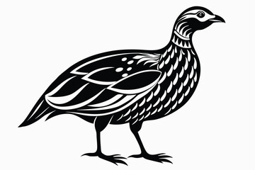 Fototapeta premium francolin silhouette line art vector illustration with a white background