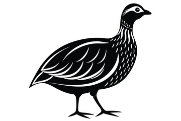 francolin silhouette line art vector illustration with a white background