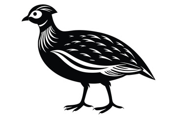 Obraz premium francolin silhouette line art vector illustration with a white background