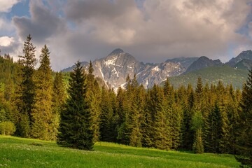 Peaceful mountain landscape in the Tatra Mountains featuring dense pine forest, green alpine meadow and rugged rocky peaks with remaining snow under a dramatic cloudy sky, pristine European nature.