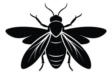 Fototapeta premium firefly silhouette line art vector illustration with a white background