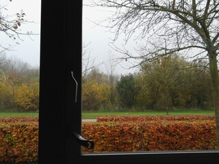 View from the window to the forest. Autumn in the forest. Beautiful natural flyer, card design. Nature Template for presentation or product 