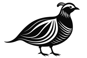 Fototapeta premium chukar silhouette line art vector illustration with a white background