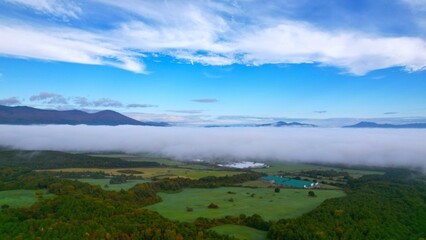 朝霧に包まれた高原の情景