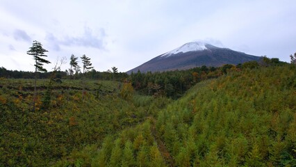 秋の林道から見える岩手山